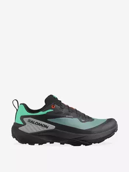 Кроссовки Salomon Genesis GTX, Серый