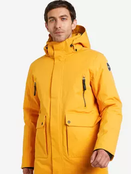 Куртка утепленная мужская IcePeak Alberton, Желтый