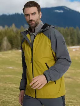 Куртка утепленная мужская Northland, Желтый