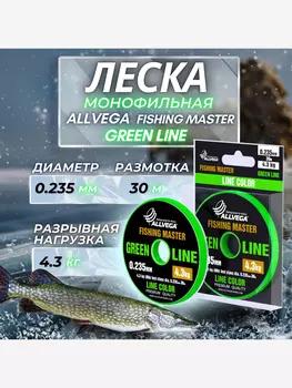 Леска монофильная ALLVEGA "Fishing Master" 30м 0,235мм (4,3кг) зеленая, Зеленый