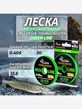Леска монофильная ALLVEGA "Fishing Master" 30м 0,405мм (12,5кг) зеленая, Зеленый