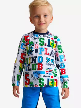 Лонгслив для мальчиков PlayToday, Мультицвет