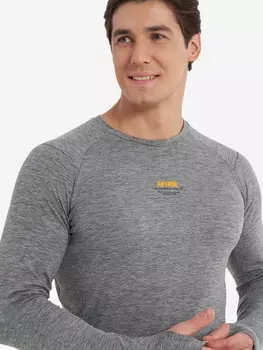 Лонгслив мужской 361°, Серый