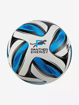 Мяч футбольный Wild Cat PANTHER ENERGY, Синий