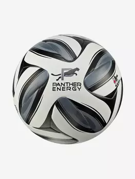 Мяч футбольный Wild Cat PANTHER ENERGY, Серый