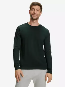 Мужской лонгслив FALKE, Зеленый