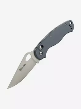 Нож складной Ganzo G729, 205 мм, Серый