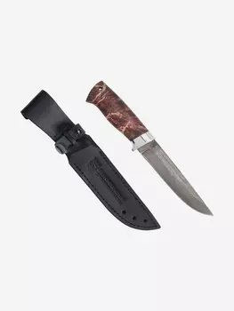 Нож Златоустовский оружейный завод Бекас (нержавеющая дамасская сталь, кап клена стабилизированный./ал.) нож для туризма, Коричневый