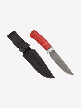 Нож Златоустовский оружейный завод Пума (нержавеющая дамасская сталь, кап клёна стабилизированный/ал.) нож для туризма, Красный