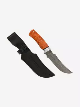 Нож Златоустовский оружейный завод Сокол (нержавеющая дамасская сталь дикии, кап клёна стабилизированный/ал.) нож для охоты, разделочный нож, Оранжевый