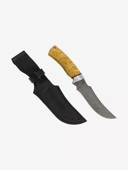 Нож Златоустовский оружейный завод Сокол (нержавеющая дамасская сталь дикии, кап клёна стабилизированный/ал.) нож для охоты, разделочный нож, Желтый