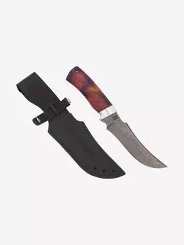 Нож Златоустовский оружейный завод Сокол (нержавеющая дамасская сталь, кап клёна стабилизированный/ал.) нож для охоты, разделочный нож, Мультицвет