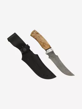 Нож Златоустовский оружейный завод Сокол (нержавеющая дамасская сталь, карельская берёза/ал.) нож для охоты, разделочный нож, Бежевый