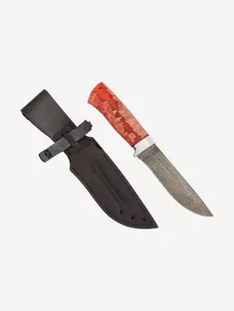 Нож Златоустовский оружейный завод Таежная стрела (нержавеющая дамасская сталь, кап клёна стабилизированный/ал.) нож для туризма, Красный