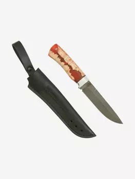 Нож Златоустовский оружейный завод Таежный (нержавеющая дамасская сталь, кап клена стабилизированный/ал.) нож для охоты, разделочный нож, Красный