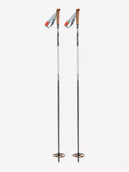 Палки для беговых лыж Swix Blizzard Mountain Touring, Мультицвет