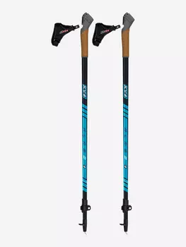Палки для скандинавской ходьбы KV+ ALPS 2, Синий