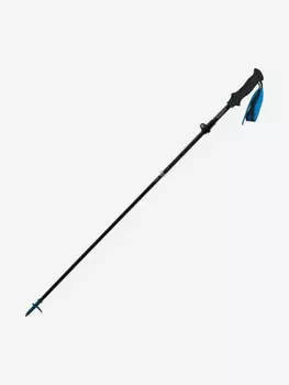 Палки треккинговые, карбон, ST07, голубые, для ходьбы (2 шт.), Синий