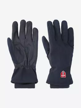 Перчатки Swix Blizzard, Синий, размер 18