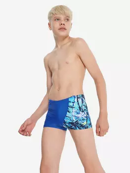 Плавки для мальчиков Speedo, Синий