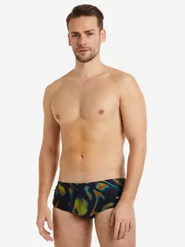 Плавки мужские Speedo, Черный