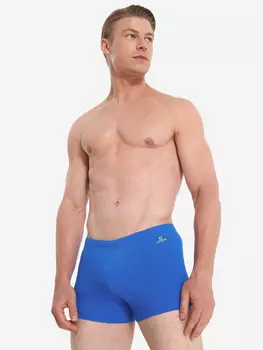 Плавки-шорты мужские Joss, Синий