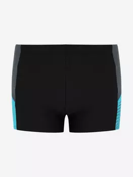 Плавки-шорты мужские Speedo, Черный