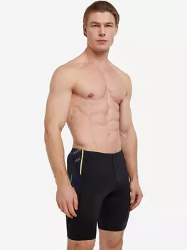 Джаммеры мужские Speedo Tech Panel, Черный