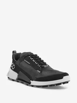 Кроссовки мужские Ecco Biom 2.1 X Mountain, Черный