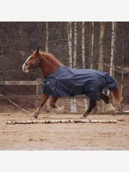 Попона прогулочная дождевая Первая Конная Мануфактура X-Strong 0, Синий