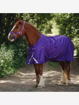 Попона прогулочная Первая Конная Мануфактура Ufa на нейлоновой подкладке с отстегивающимся капором, Фиолетовый