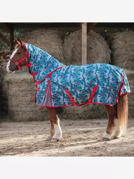 Попона прогулочная зимняя Первая Конная Мануфактура OSAKA со съёмным капором, Синий