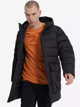 Пуховик мужской Demix, Черный