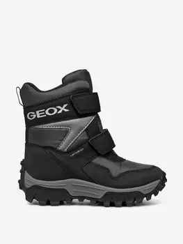Сапоги утепленные для мальчиков Geox J Himalaya B.B ABX E, Серый