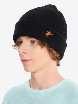 Шапка для мальчиков Termit, Черный