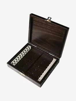 Шкатулка для абразивов TSPROF, дубовая, 10 мест, Серебряный