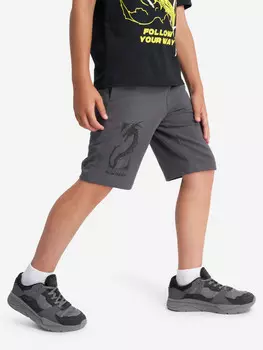 Шорты для мальчиков Demix, Серый