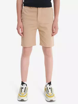 Шорты для мальчиков Quiksilver Everyday Light, Бежевый
