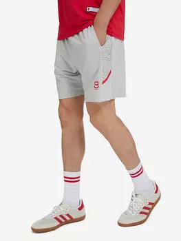 Шорты Flight мужские STEPBACK, Серый