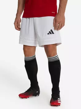 Шорты мужские adidas Squa25, Белый