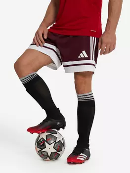 Шорты мужские adidas Squa25, Красный