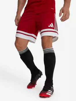 Шорты мужские adidas Squa25, Красный