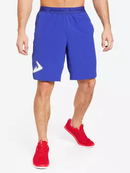 Шорты мужские Demix, Синий