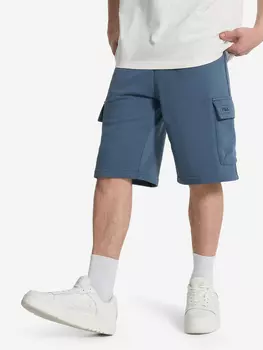 Шорты мужские FILA, Синий