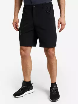 Шорты мужские Icepeak Berwyn, Черный, размер 52