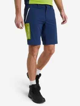 Шорты мужские Jack Wolfskin Overland, Синий, размер 52