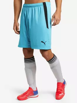 Шорты мужские PUMA teamLIGA, Голубой, размер 46-48
