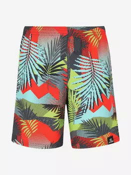 Шорты плавательные для мальчиков Joss, Серый