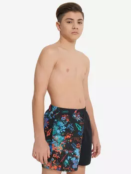 Шорты плавательные для мальчиков Joss, Мультицвет