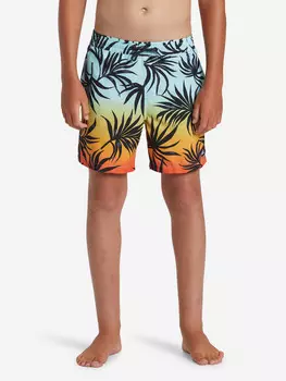 Шорты плавательные для мальчиков Quiksilver Mix, Голубой
